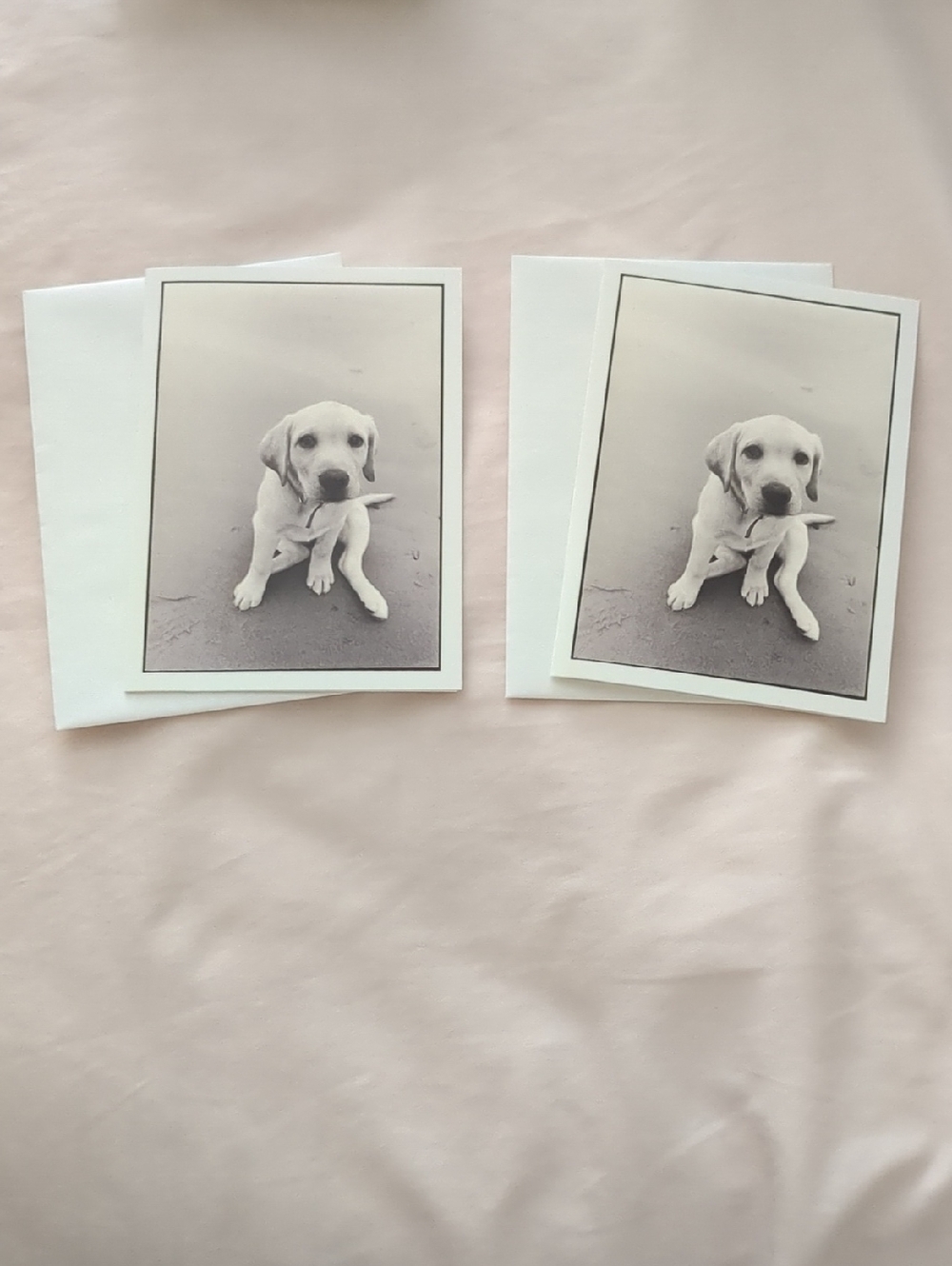 Blank White Greeting Cards (2) with Puppy Image - White Envelopes Included.